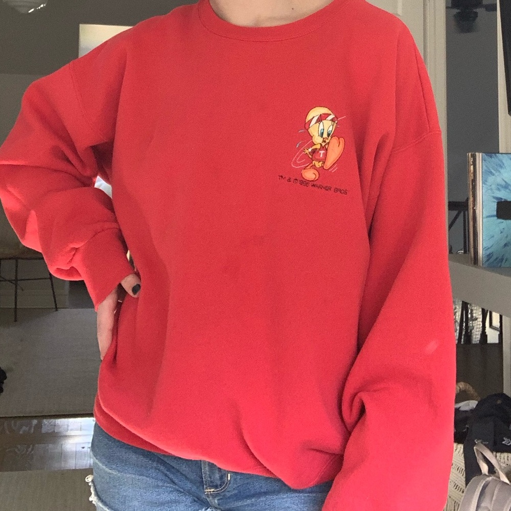 vintage warner bros crewneck